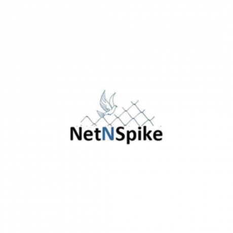Net N Spike